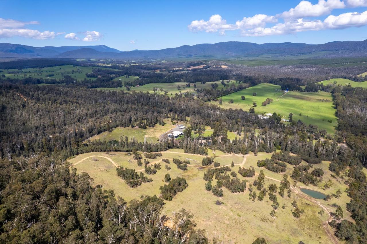 Saladin Lodge Narbethong Exterior foto