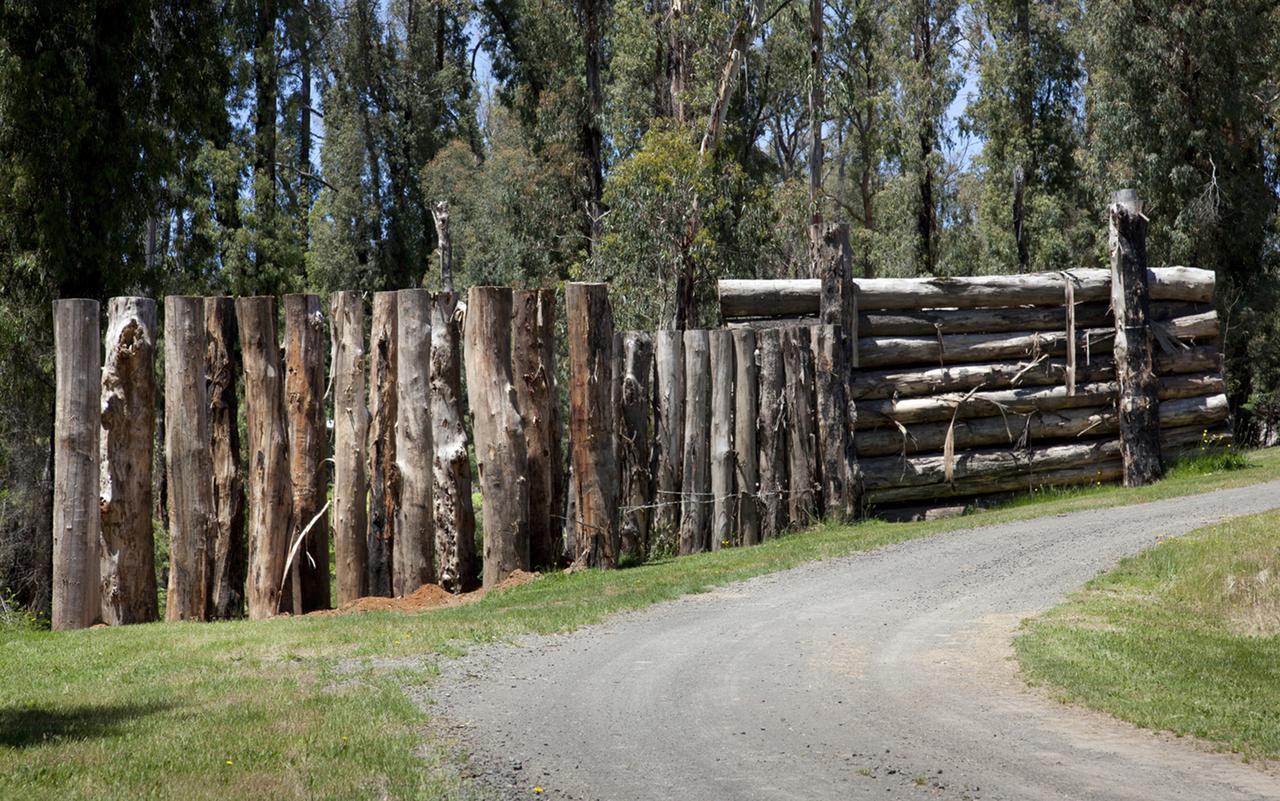 Saladin Lodge Narbethong Exterior foto