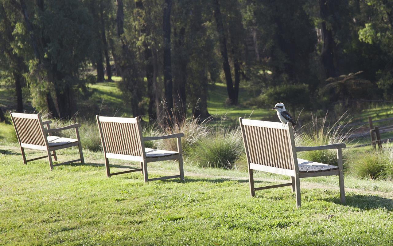 Saladin Lodge Narbethong Exterior foto