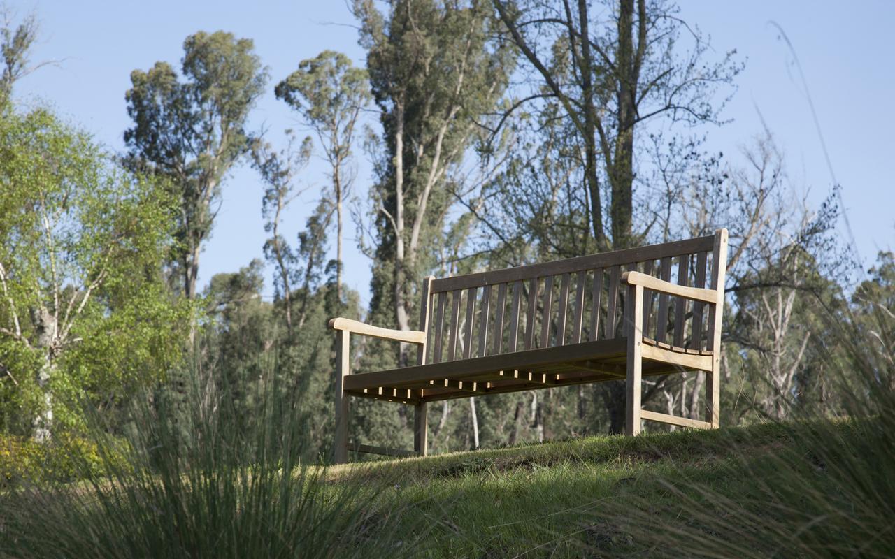 Saladin Lodge Narbethong Exterior foto