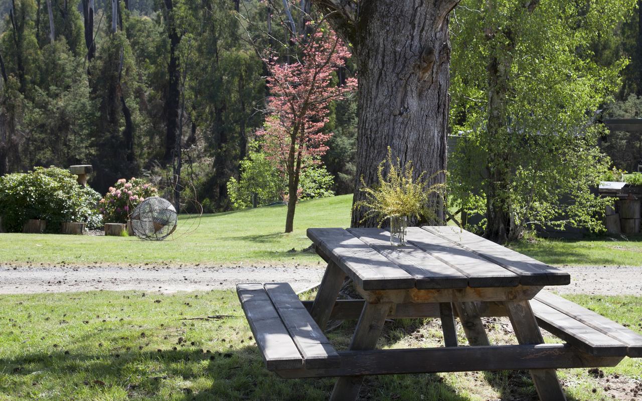 Saladin Lodge Narbethong Exterior foto