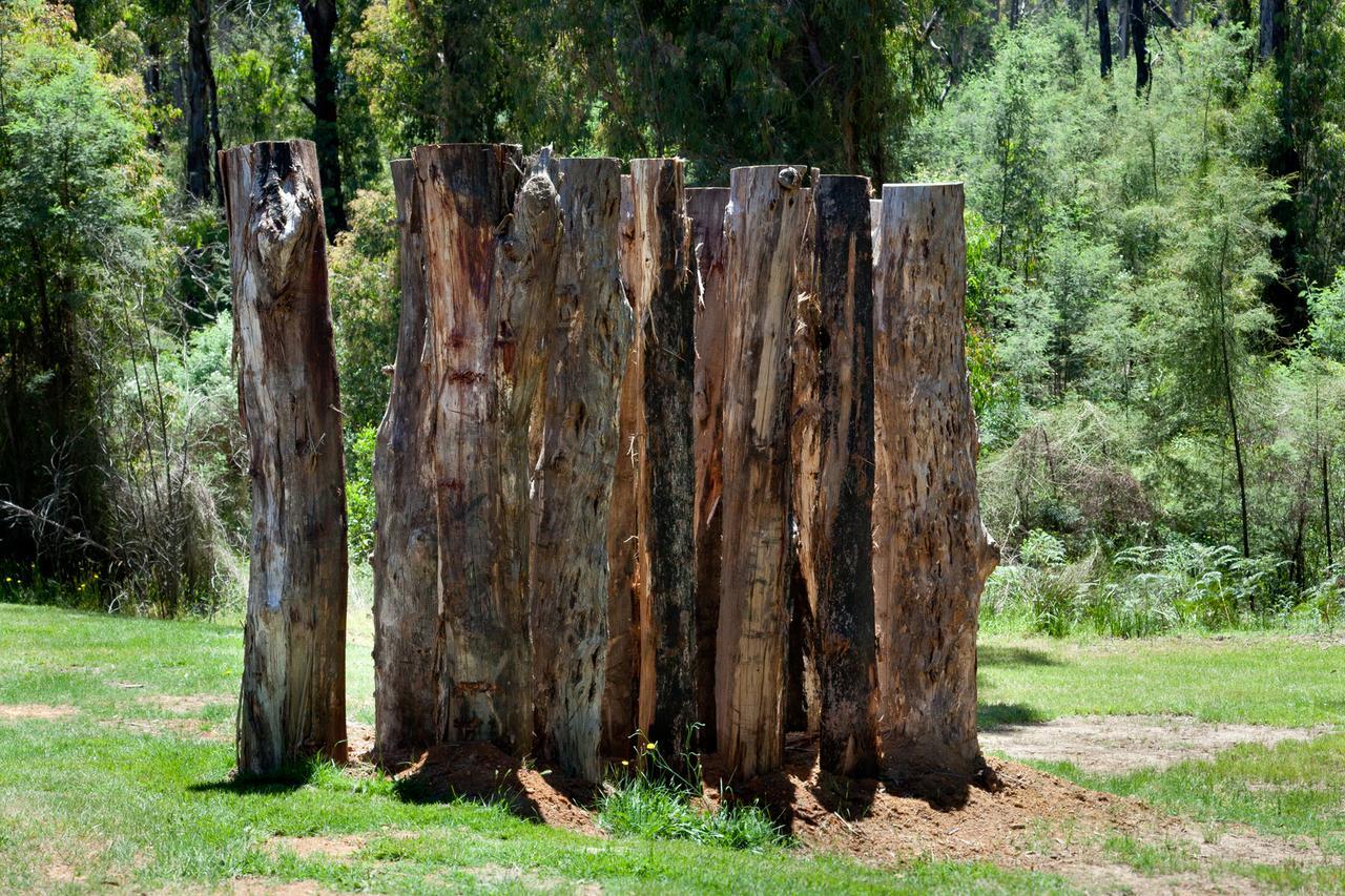 Saladin Lodge Narbethong Exterior foto